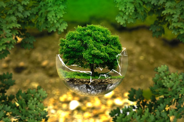 Environmental Monitoring